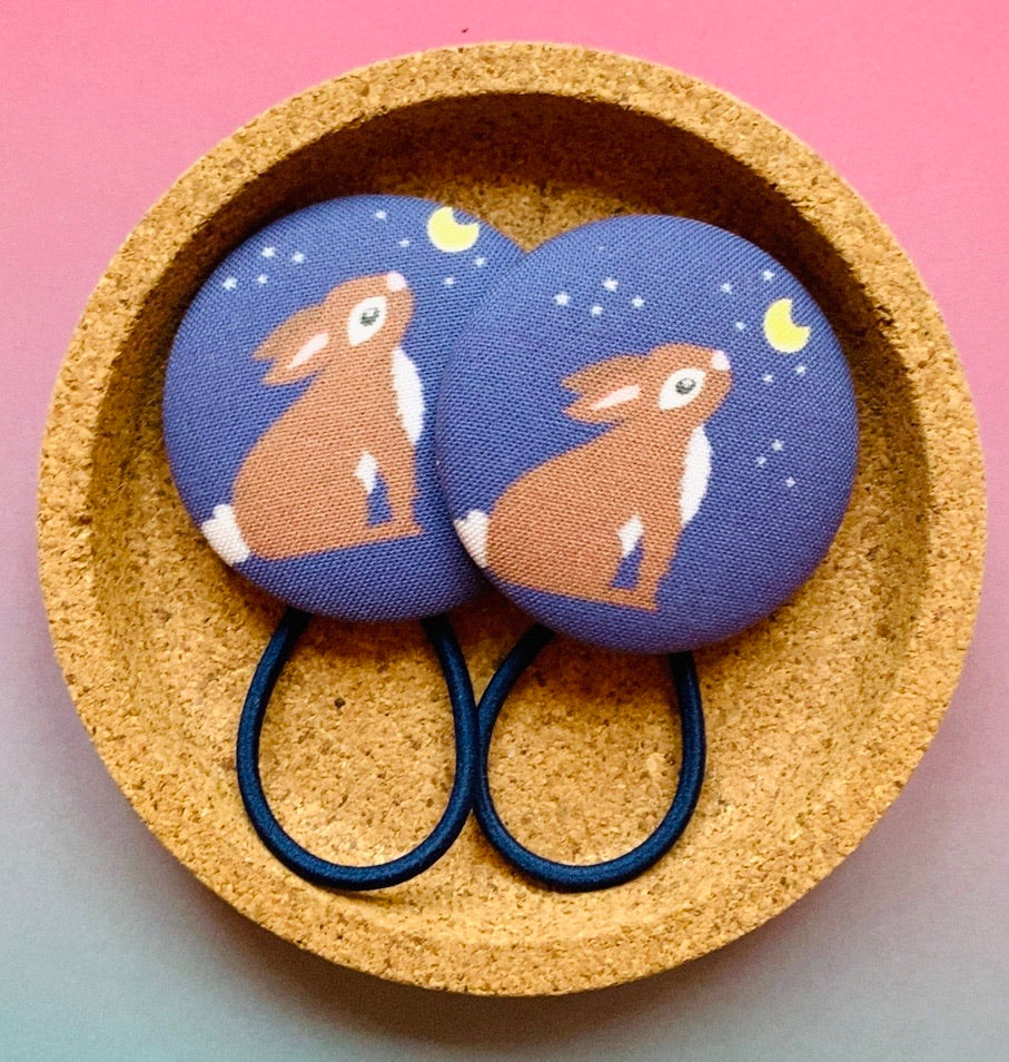 Moon Gazing Rabbit