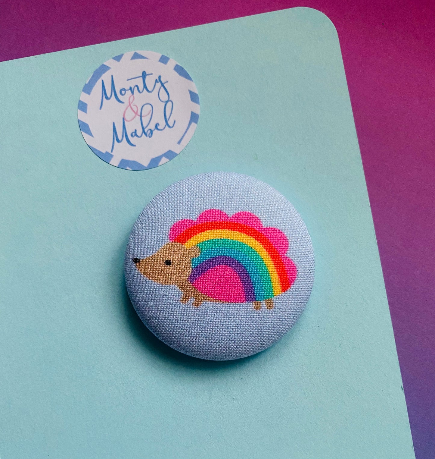 Sale: Rainbow Hedgehog Large Bobble (Single)